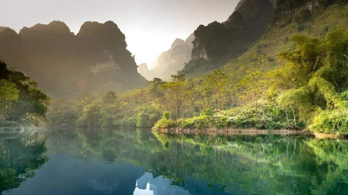 高性能智慧绿色